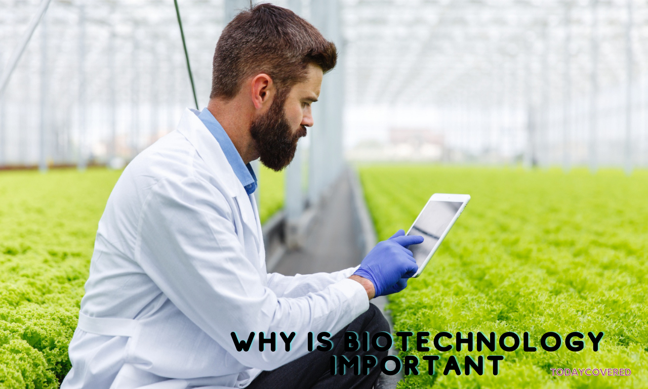 Why is Biotechnology Important